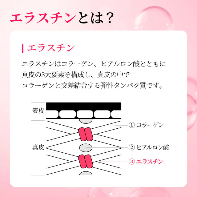 【バストケアセット】ヨエスター エラスチンS+ヨエスターエラスチンオリジナル7X