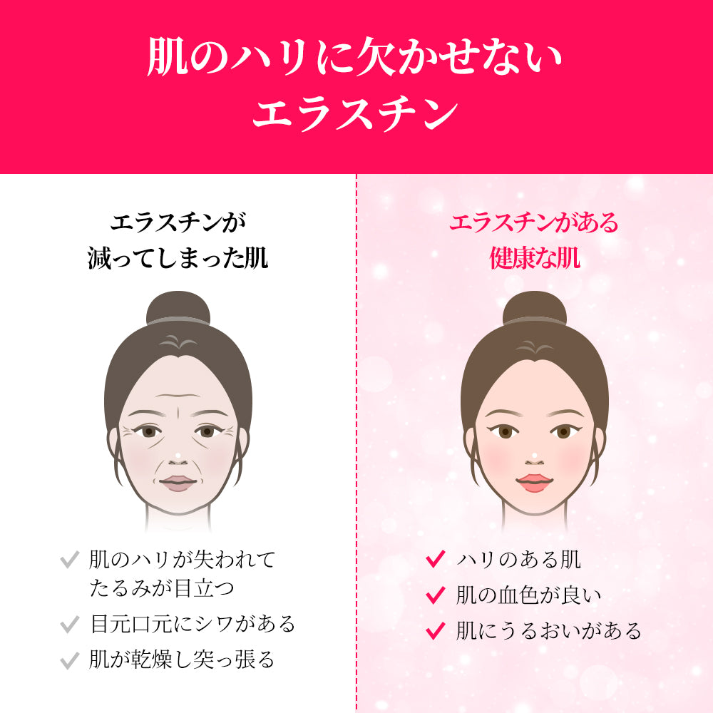 エスターフォーミュラベストセラー豪華GIFTセット