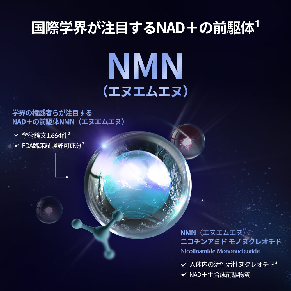 ヨエスター植物性NMNフィトエス2Xフィルム