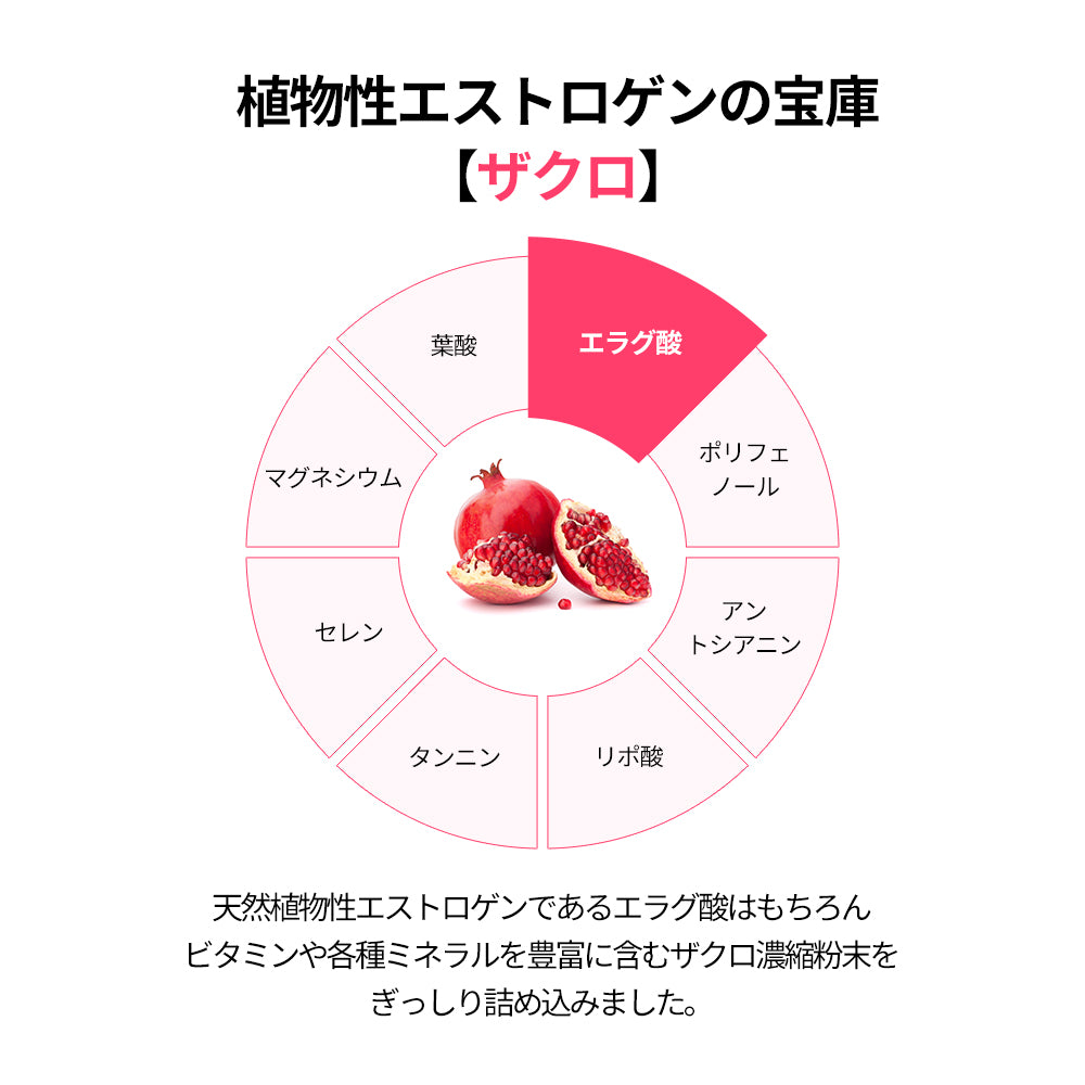 【バストケアセット】ヨエスター エラスチンS+ヨエスターエラスチンオリジナル7X