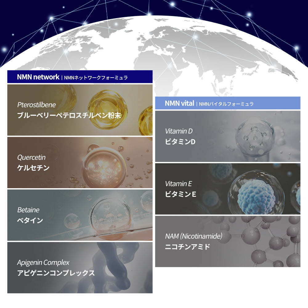 エスターフォーミュラベストセラー豪華GIFTセット