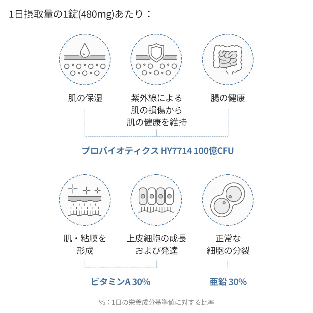 ヨエスター肌乳酸菌
