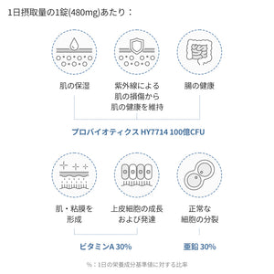 ヨエスター肌乳酸菌