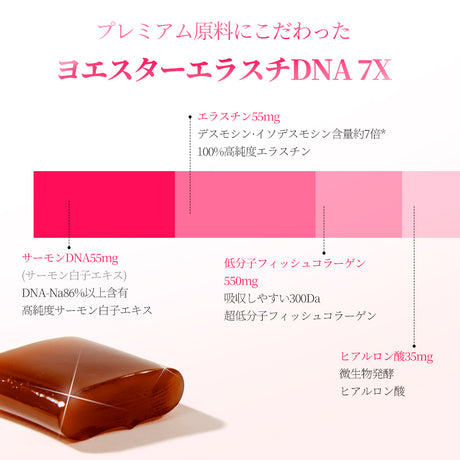 ヨエスターエラスチンDNA 7X