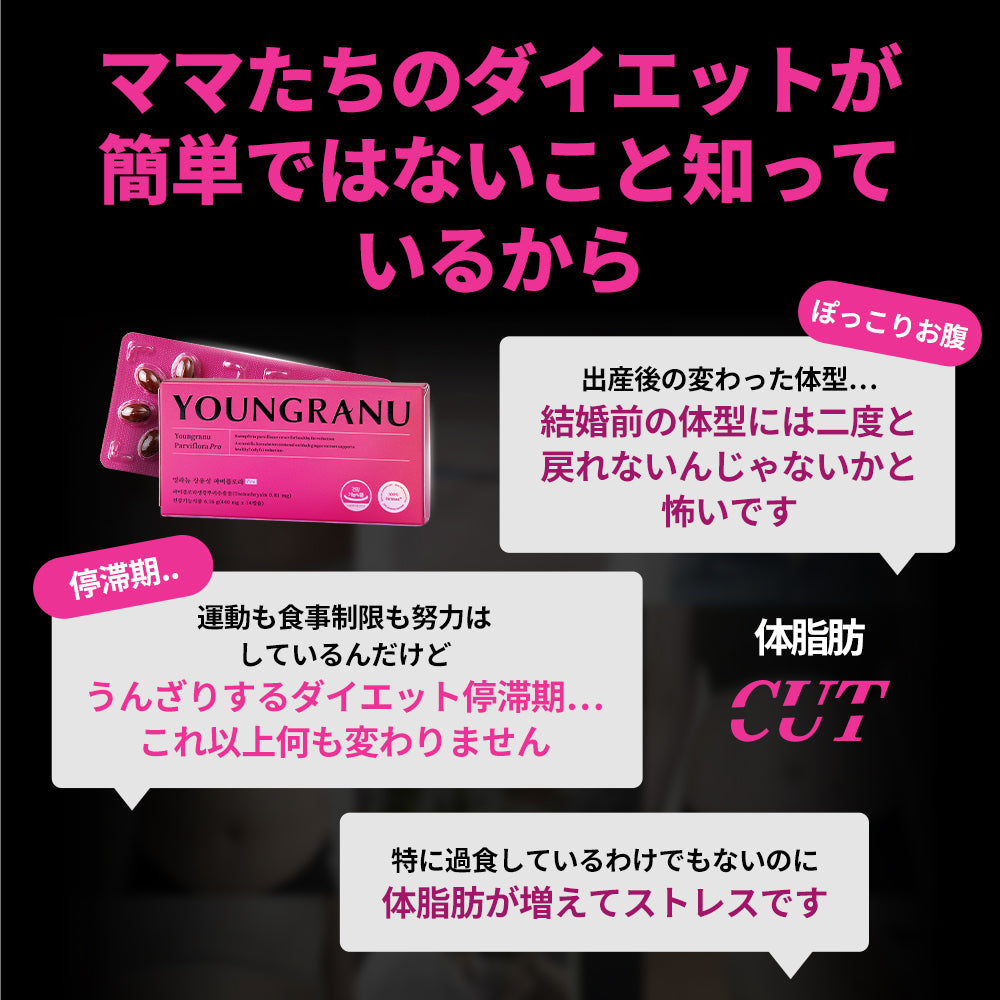 ヨンラニュー腸溶性パービフローPRO