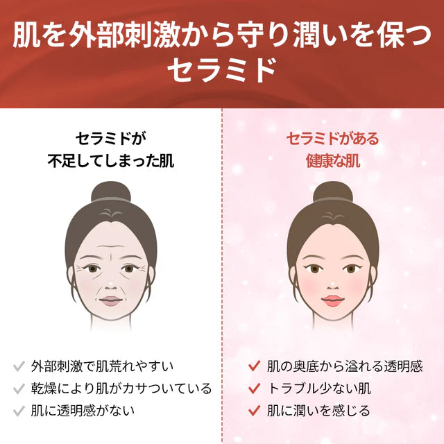 【今週のセール】ベストセラー1+1特価イベント