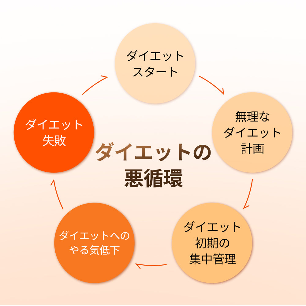 ヨンラニューサイクルカットソリューシ