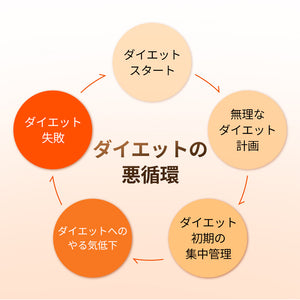 ヨンラニューサイクルカットソリューシ