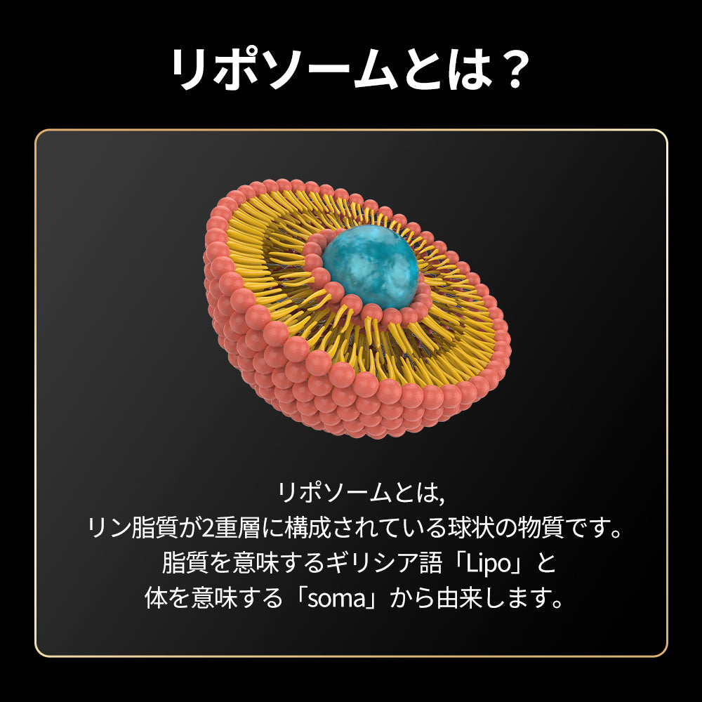 ヨエスターリポソームGLTダイレクトウルトラX – ESTHER FORMULA JP ヨエスターリポソームGLTダイレクトウルトラX – ESTHER FORMULA JP