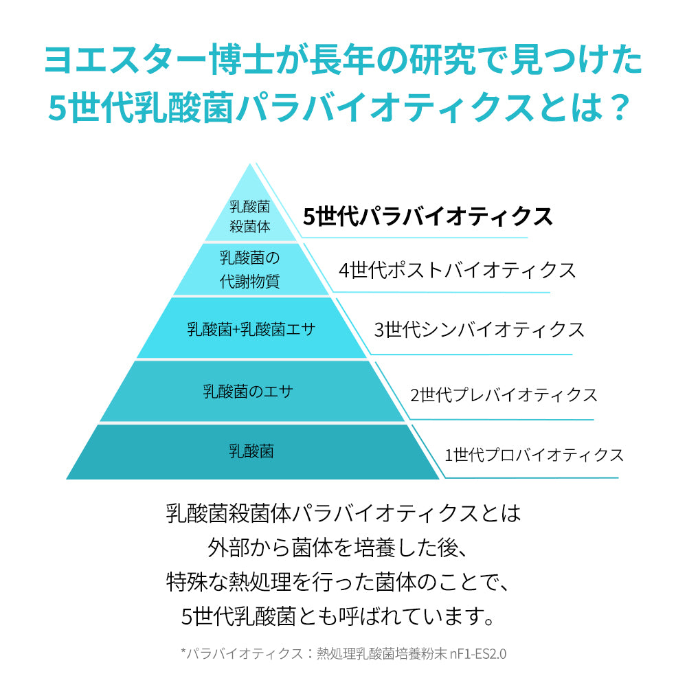 ヨエスター乳酸菌パラバイオティックス