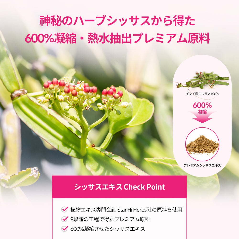 ヨエスターシッサスダイエット