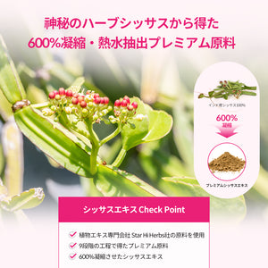 ヨエスターシッサスダイエット