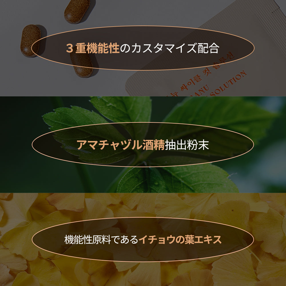 ヨンラニューサイクルカットソリューシ