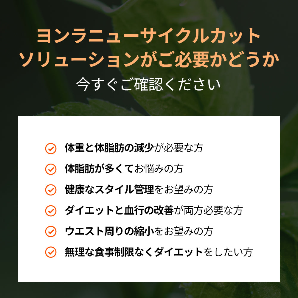 ヨンラニューサイクルカットソリューシ