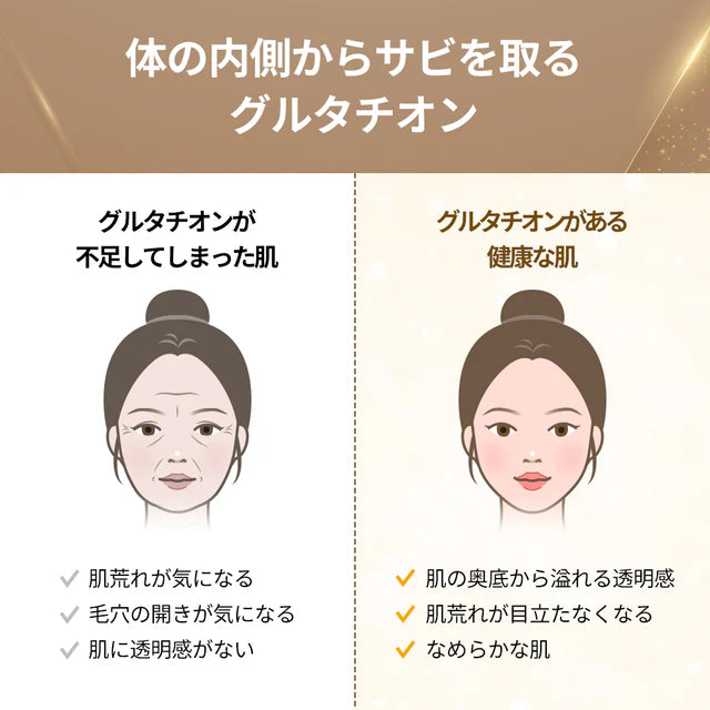 【シークレット特価】ヨエスターGLTダイレクト〈1+1セット〉