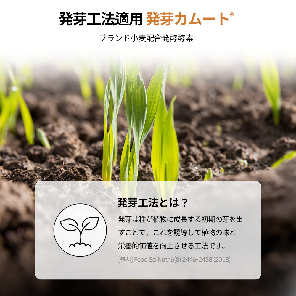 ヨエスター発芽カムート配合の発酵酵素
