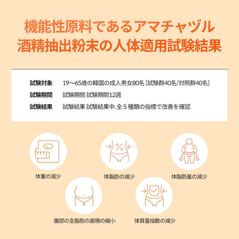 ヨンラニューサイクルカットソリューシ