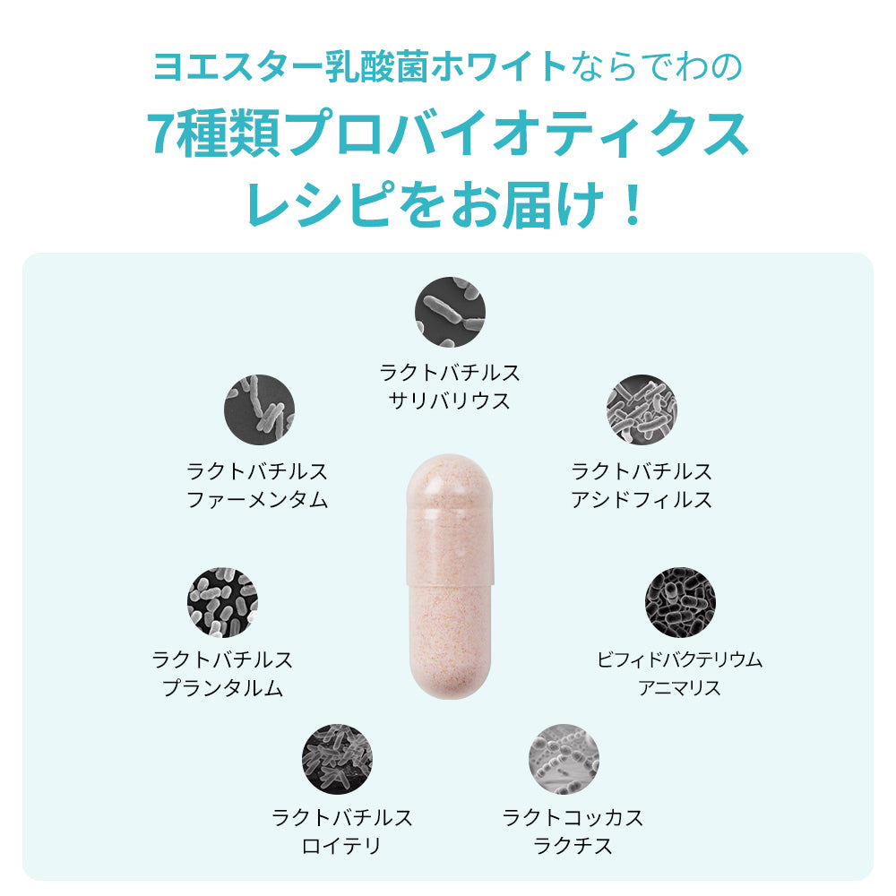 ヨエスター乳酸菌ホワイト