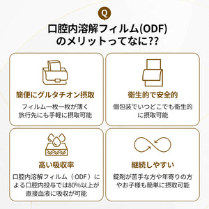 ヨエスターGLTダイレクト5X