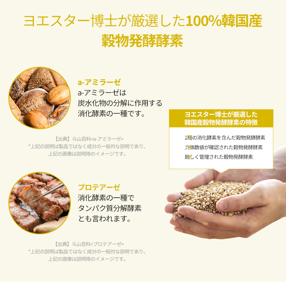 ヨエスターオールアラウンド酵素