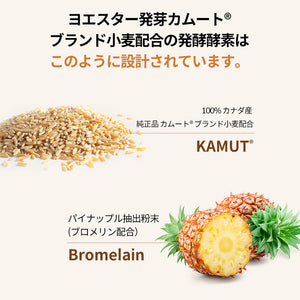 ヨエスター発芽カムート配合の発酵酵素
