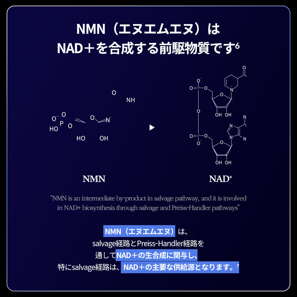 ヨエスター植物性NMNフィトエス2Xフィルム