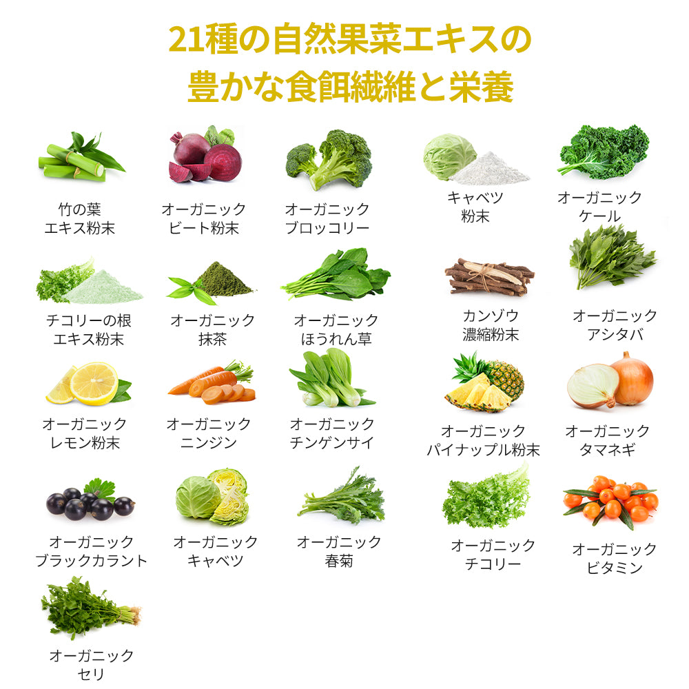 ヨエスターオールアラウンド酵素