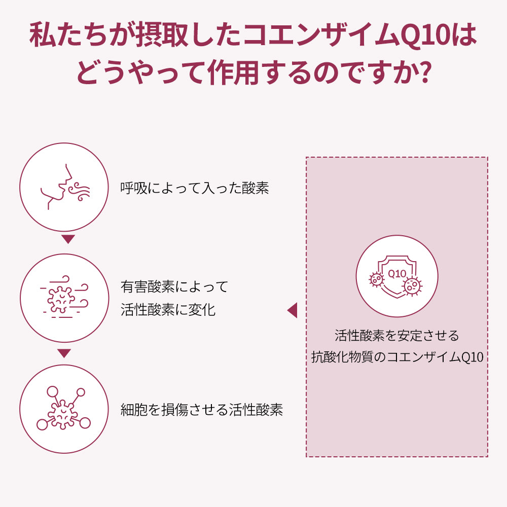 ドクターエスターCOQ10プラス