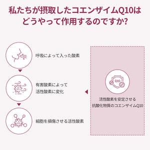 ドクターエスターCOQ10プラス