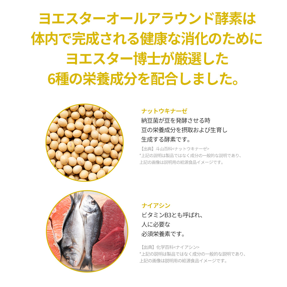 ヨエスターオールアラウンド酵素