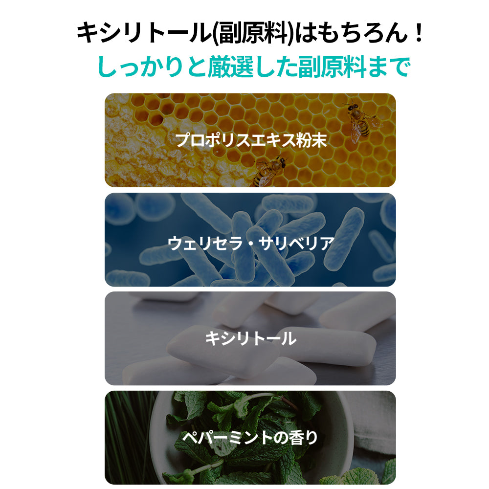 ヨエスター乳酸菌デンタル