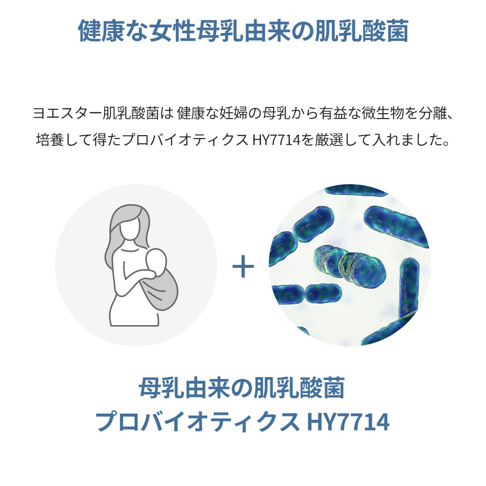 ヨエスター肌乳酸菌