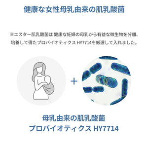 ヨエスター肌乳酸菌