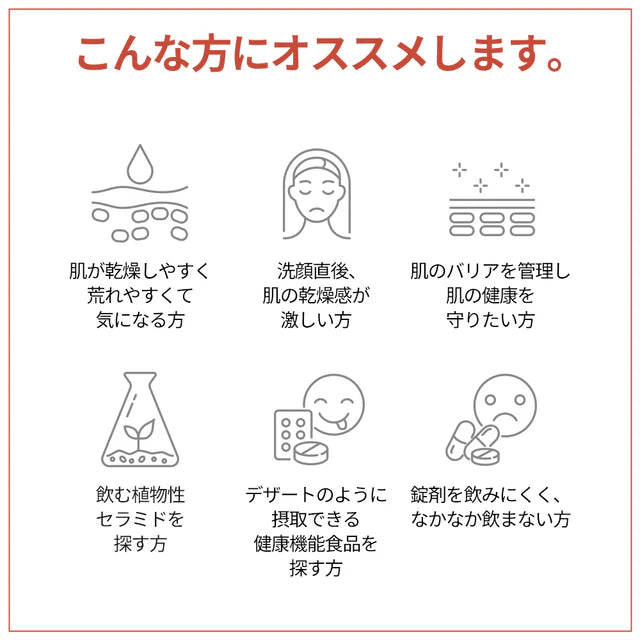 【今週のセール】ベストセラー1+1特価イベント