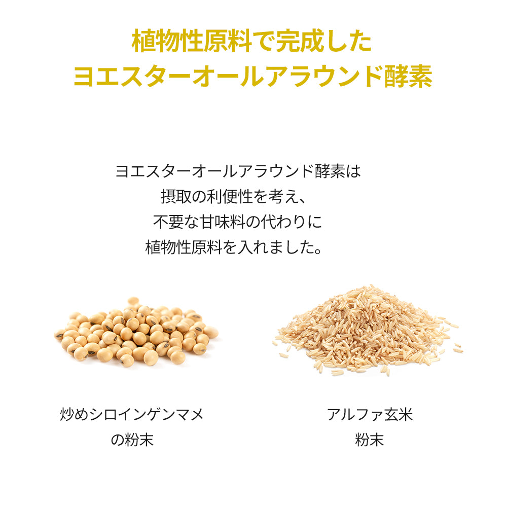 ヨエスターオールアラウンド酵素