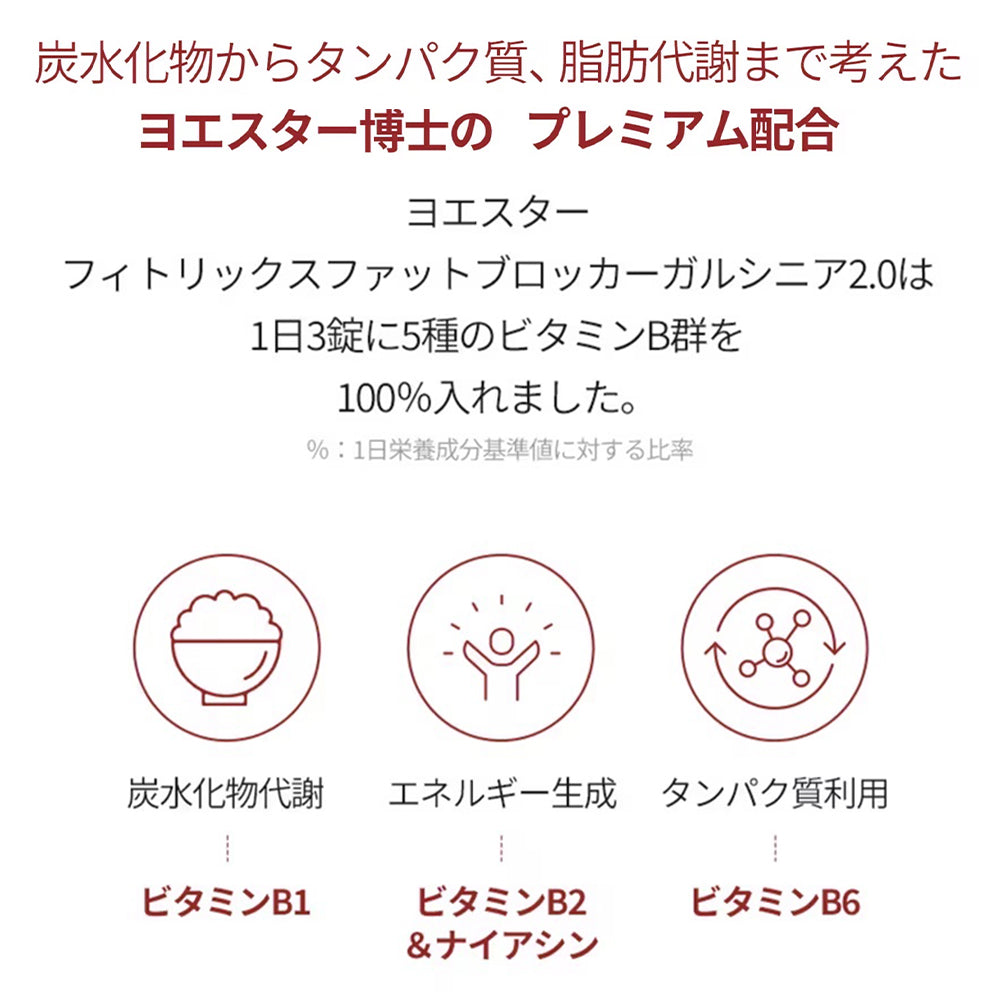 ヨエスターフィトリックスファットプロッカーガルシニア2.0