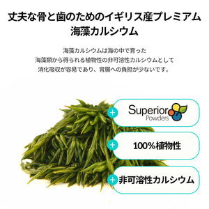 ヨエスター乳酸菌デンタル