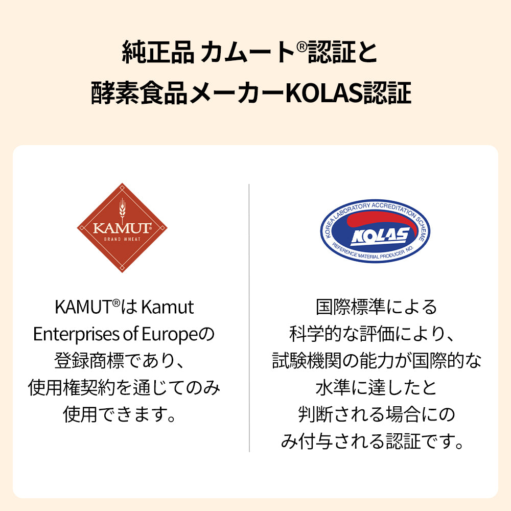 ヨエスター発芽カムート配合の発酵酵素