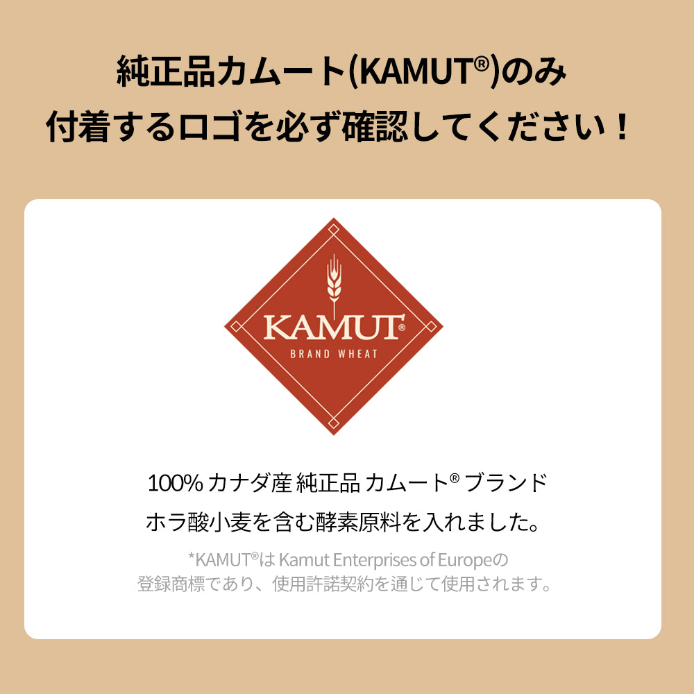 ヨエスター発芽カムート配合の発酵酵素