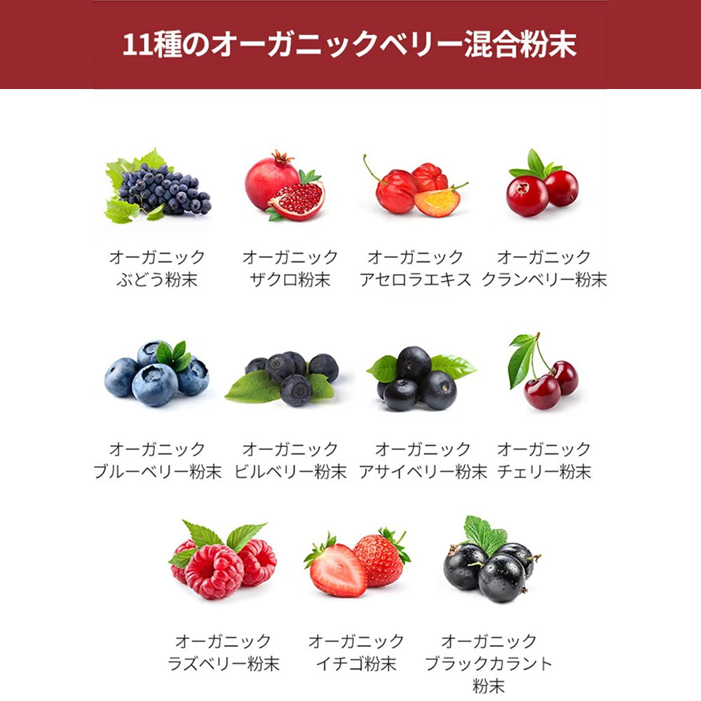 ヨエスターフィトリックスファットプロッカーガルシニア2.0
