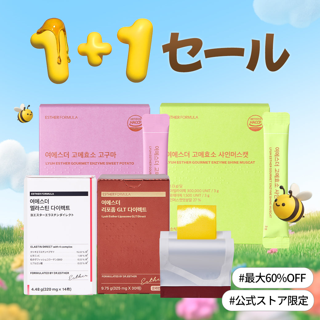 【最大60％OFF】1箱ご購入で、さらに1箱プレゼント