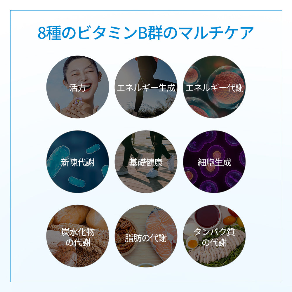 ヨエスタービタミンBコンプレックス