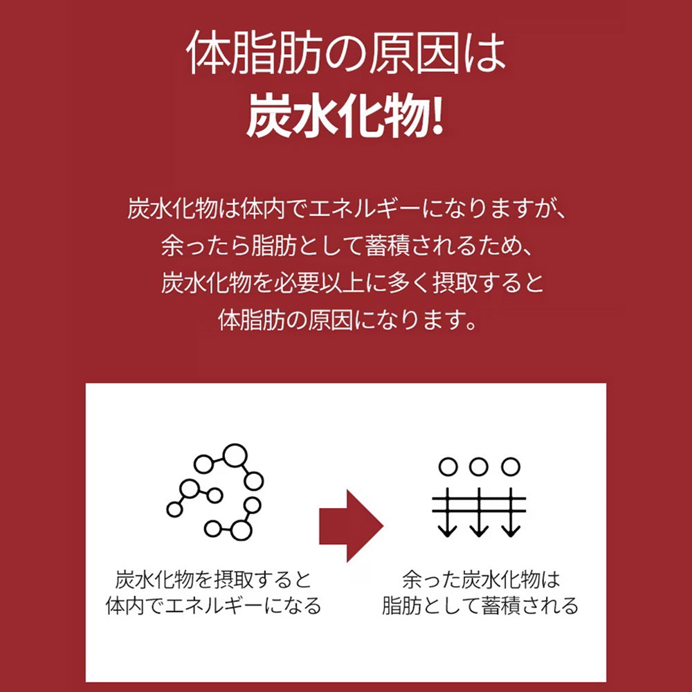 ヨエスターフィトリックスファットプロッカーガルシニア2.0