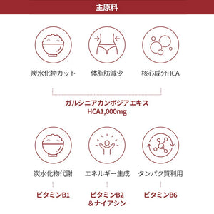 ヨエスターフィトリックスファットプロッカーガルシニア2.0