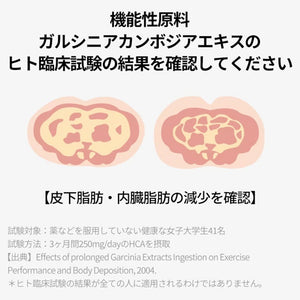 ヨエスターフィトリックスファットプロッカーガルシニア2.0