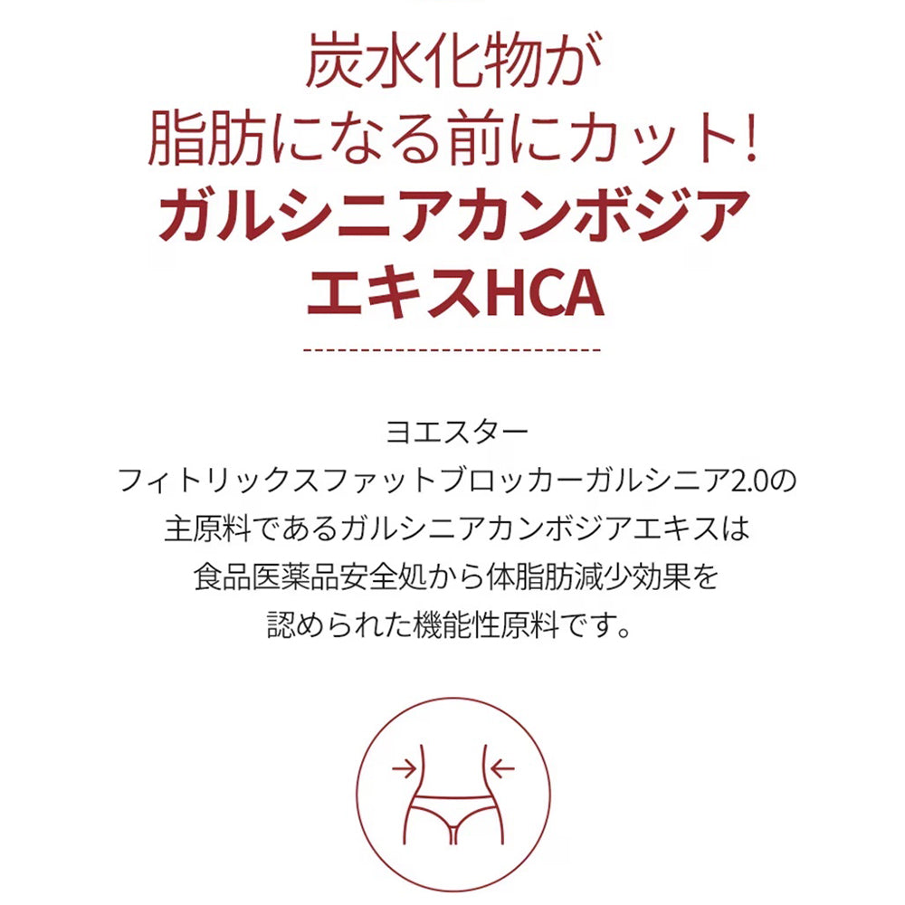 ヨエスターフィトリックスファットプロッカーガルシニア2.0